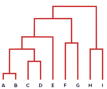 ../_images/dendrogram.png